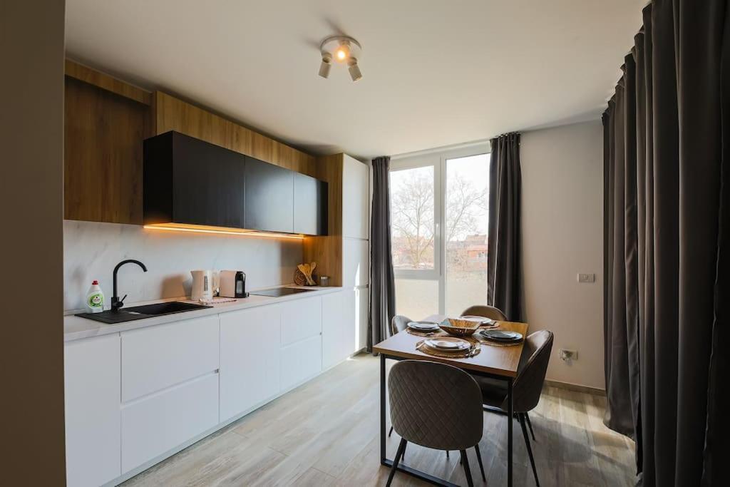 Luxury Apt. Near River & Parking Timișoara Zewnętrze zdjęcie